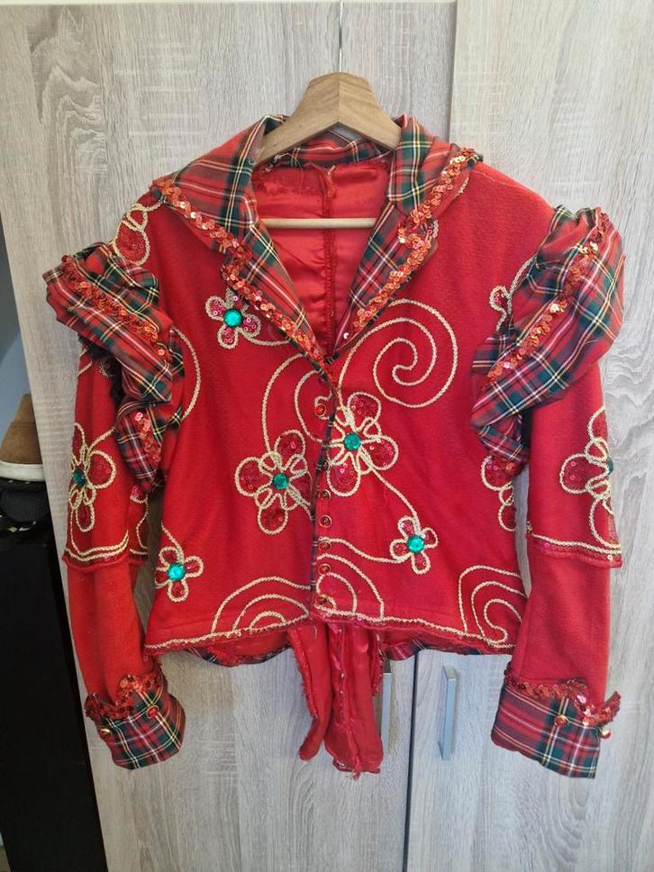 Handgemaakt carnavalskostuum, Kleding | Dames, Carnavalskleding en Feestkleding, Gedragen, Carnaval, Maat 38/40 (M), Ophalen of Verzenden