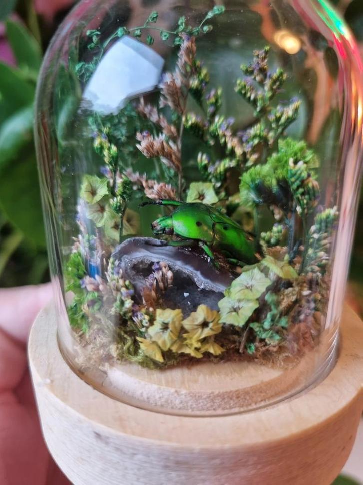 Kever in Stolp - Agaat & Droogbloemen, Antiek en Kunst, Antiek | Woonaccessoires, Ophalen of Verzenden