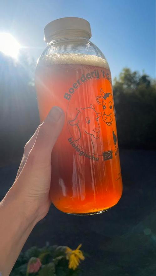 Kombucha homemade, Tuin en Terras, Bloembollen en Zaden, Verzenden