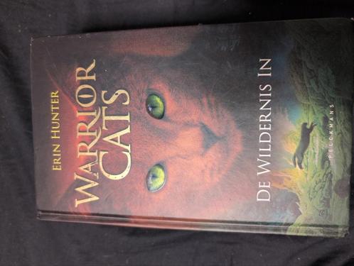 Erin Hunter - De wildernis in, Boeken, Kinderboeken | Jeugd | 10 tot 12 jaar, Zo goed als nieuw, Ophalen