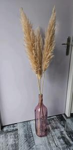 Roze fles met 3 pampas pluimen, Ophalen