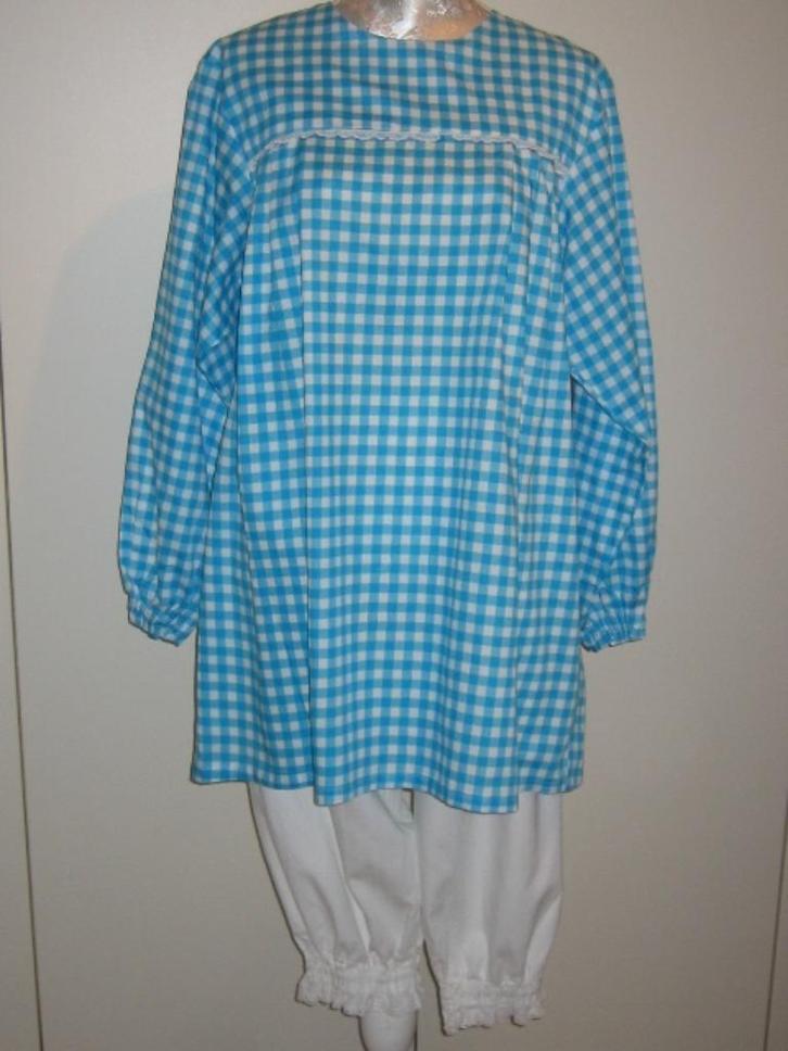 Te koop aangeboden: Babydoll in blauwen roze, Kleding | Dames, Carnavalskleding en Feestkleding, Zo goed als nieuw, Kleding, Carnaval