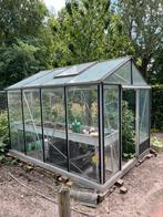 Mooie planten kas, kweekkas, groentenkas, Tuin en Terras, Kassen, Ophalen, Gebruikt, Kweekkas, Glas