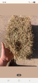 hooi, Ophalen of Verzenden, Vee