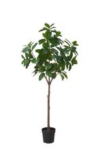 Kunstplant Magnolia Ikea, Ophalen, Nieuw, Binnen
