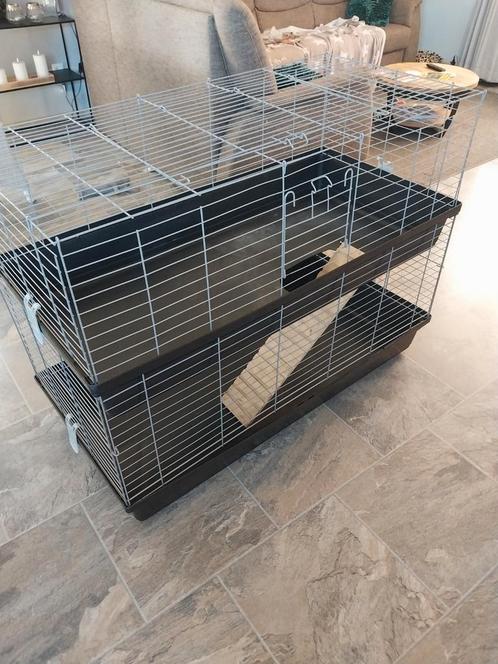 Mooi groot caviahok, Dieren en Toebehoren, Knaagdieren en Konijnen | Hokken en Kooien, Zo goed als nieuw, Hok, 90 cm of meer, 110 cm of meer