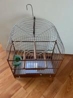 Surinaamse kooi, Dieren en Toebehoren, Vogels | Hokken en Kooien, Ophalen, Zo goed als nieuw, Vogelkooi