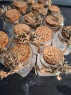 Sierpotjes Partij, Ophalen of Verzenden