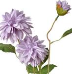 DAHLIA KUNST CLAYRE & EEF - LILA, Ophalen of Verzenden, Nieuw
