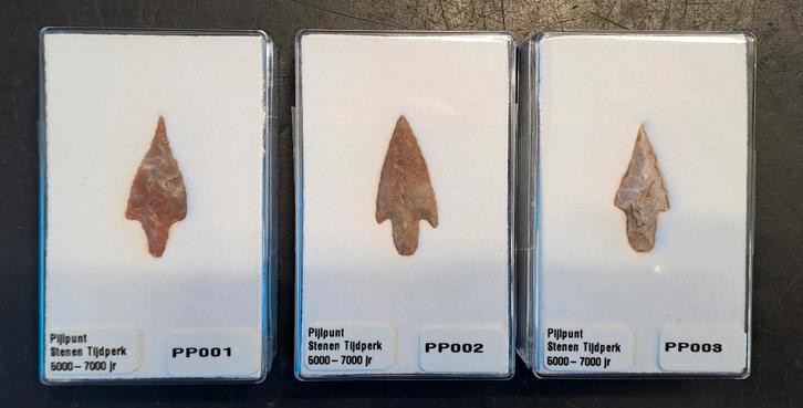 3x Originele pijlpunt Stenen tijdperk in doosje, Antiek en Kunst, Curiosa en Brocante, Ophalen of Verzenden