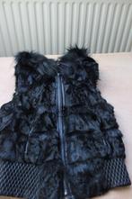 bodywarmer, Verzenden, Zo goed als nieuw, Maat 36 (S), Zwart
