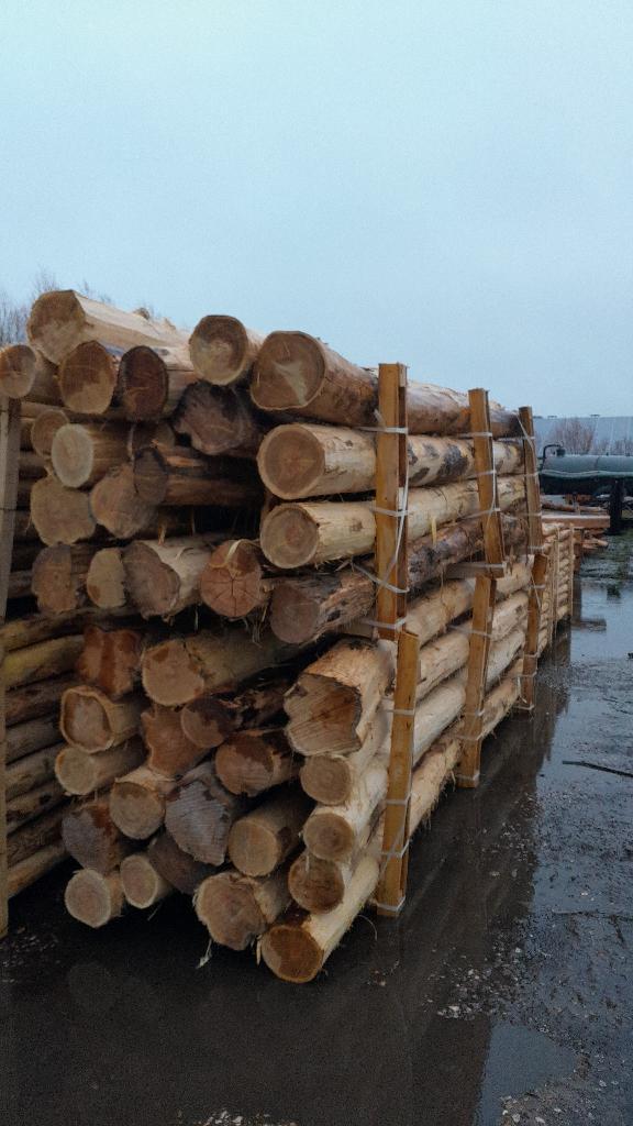 Robiniahouten palen, robinia paal 400cm lang 14-16cm dik, Tuin en Terras, Palen, Balken en Planken, Nieuw, Palen, 250 cm of meer