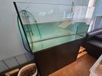 200 l Aquarium met meubel en Eheim 440 liter/uur filterpomp, Dieren en Toebehoren, Ophalen, Zo goed als nieuw, Leeg aquarium