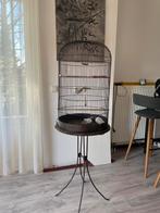Vogelkooi, Dieren en Toebehoren, Ophalen of Verzenden, Vogelkooi