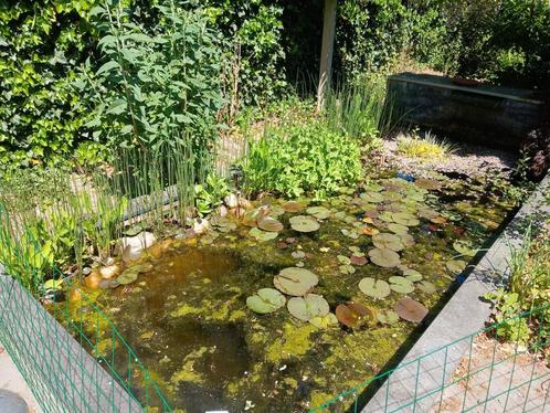GRATIS Grote vijver 2 bij 5 meter incl alles, Tuin en Terras, Vijvers, Gebruikt, Ophalen