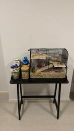 Hamsterkooi compleet met tafel en accessoires, Ophalen, Gebruikt, 50 tot 100 cm, Metaal
