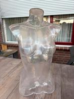 Torso vrouw transparant 66 cm hoog, Ophalen of Verzenden
