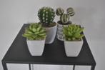 Kunstplantjes, 4 stuks, Ophalen of Verzenden, Gebruikt, Binnen