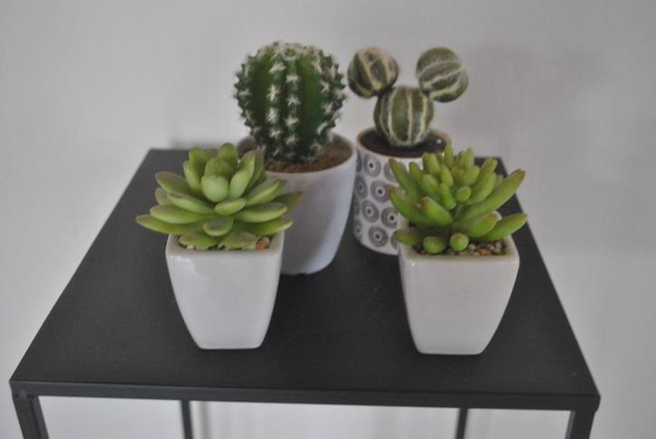 Kunstplantjes, 4 stuks, Huis en Inrichting, Woonaccessoires | Kunstplanten en Kunstbloemen, Gebruikt, Binnen, Ophalen of Verzenden