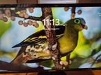 aangeboden 24 inch samsung pc scherm, Computers en Software, Monitoren, Ophalen, IPS, Full HD, Samsung