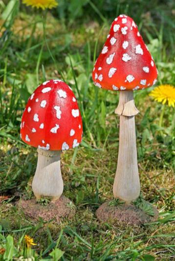 Mooie, decoratieve Paddenstoel, Vliegenzwam, rood met wit beschikbaar voor biedingen