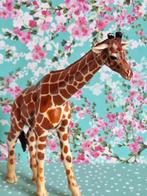 Schleich giraffe, Verzamelen, Dierenverzamelingen, Overige soorten, Gebruikt, Ophalen of Verzenden, Beeldje of Figuurtje