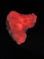 mineraal: schitterende CALCIET MET DOLOMIET (UV), Ophalen of Verzenden, Mineraal