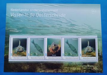 NVPH: V3642P: 4 "Nederlandse onderwaterwereld 2022"   beschikbaar voor biedingen