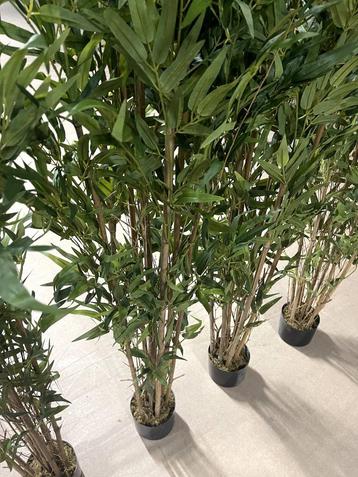 Kunstplanten bamboe  beschikbaar voor biedingen