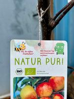 Appelboom 200cm, Ophalen, Minder dan 100 cm, Appelboom, Lente