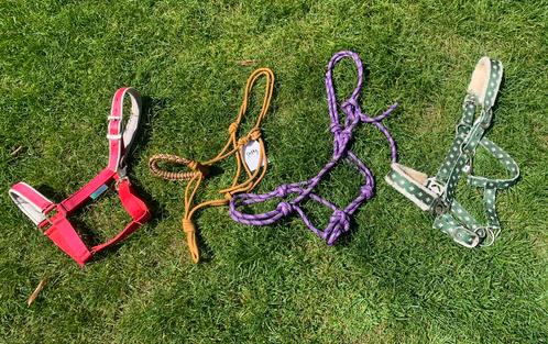 Diverse halsters maat pony & cob, Dieren en Toebehoren, Paarden en Pony's | Hoofdstellen en Tuigage, Nieuw, Overige soorten, Ophalen of Verzenden