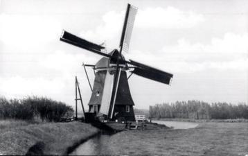 (NH475) Ansichtkaart Uitgeest De Dorregeester Molen  beschikbaar voor biedingen