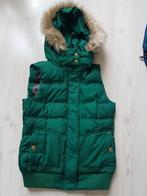 Esprit dames bodywarmer in size medium, Kleding | Dames, Bodywarmers, Ophalen of Verzenden, Zo goed als nieuw, Maat 38/40 (M)