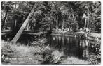 Driebergen vijver in het bos Gelopen Ansichtkaart, Ophalen of Verzenden, 1960 tot 1980, Gelopen, Utrecht