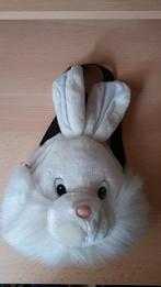 Schattig Konijnen Rugzakje, Overige merken, Gebruikt, Minder dan 30 cm, Ophalen of Verzenden