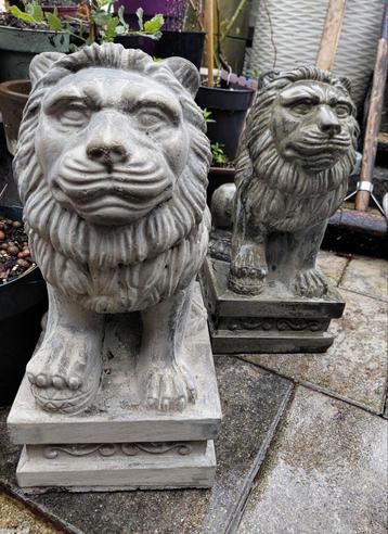 3D beeld Leeuw beschikbaar voor biedingen