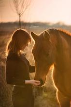 FOTOSHOOT MET JE PAARD, Ophalen of Verzenden, Nieuw, Overige soorten