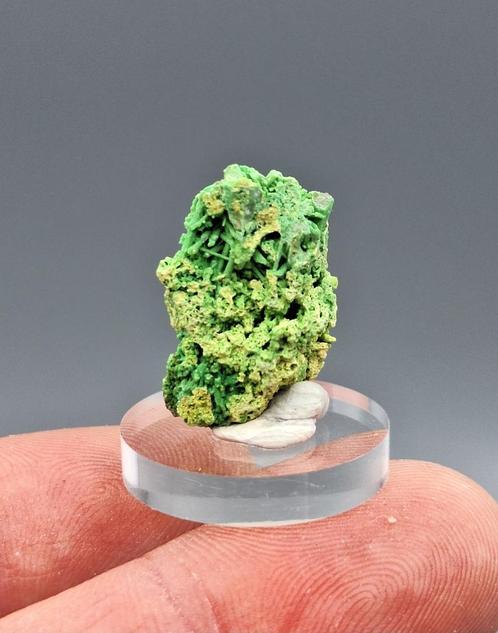 Bayldoniet psm Mimetiet - Tsumeb Mine, Namibië, Verzamelen, Mineralen en Fossielen, Mineraal, Ophalen of Verzenden