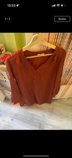 Sissy Boy Maat XL 🟢, Ophalen of Verzenden, Zo goed als nieuw, Maat 46/48 (XL) of groter