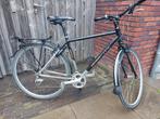 Koga maat 50, Ophalen, Gebruikt, 49 tot 53 cm, Koga Miyata