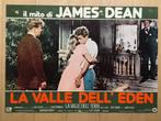 James Dean “East of Eden” Italiaanse fotobusta filmposter., Ophalen of Verzenden, Gebruikt, Poster