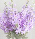 RIDDERSPOOR (DELFHINIUM) LILA