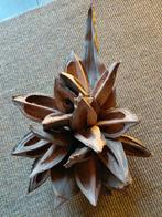 Decoratieve gedroogde bloem, Huis en Inrichting, Woonaccessoires | Overige, Ophalen of Verzenden, Zo goed als nieuw