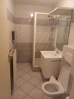 Retro douchecabine met draaideur 80x80, Ophalen