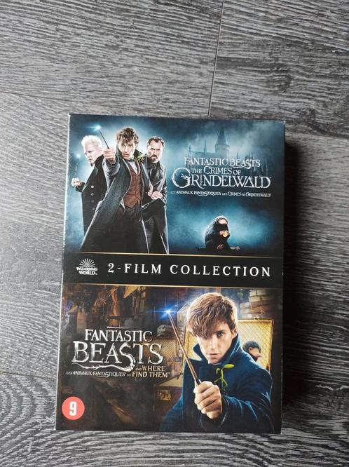 DVD box van Fantastic Beasts (2 stuks), Cd's en Dvd's, Dvd's | Science Fiction en Fantasy, Zo goed als nieuw, Ophalen of Verzenden
