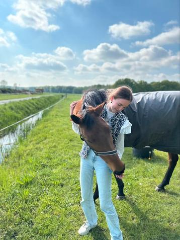 BIJRIJDER AANGEBODEN OMGEVING ROOSENDAAL  beschikbaar voor biedingen