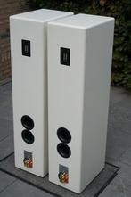 Top Hi-End Piega P10 Luidsprekers, Audio, Tv en Foto, Zo goed als nieuw, 120 watt of meer, Front, Rear of Stereo speakers, Ophalen