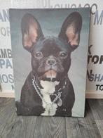 Prachtig schilderij van een Franse bulldog, Ophalen of Verzenden, Zo goed als nieuw