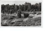 Holten. Natuurmonumenten op de H. berg., Verzamelen, Ophalen of Verzenden, 1940 tot 1960, Gelopen, Overijssel