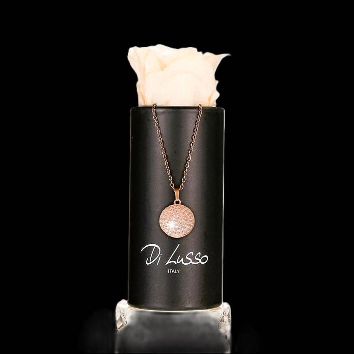 Ketting met echte roos in cadeauverpakking, Sieraden, Tassen en Uiterlijk, Kettingen, Nieuw, Goud, Met hanger, Met strass, Ophalen of Verzenden